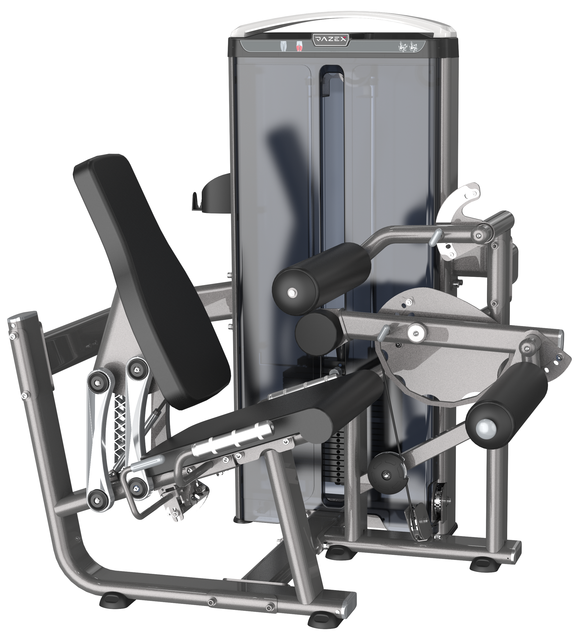 Seated Leg Curl